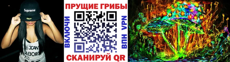Псилоцибиновые грибы ЛСД  Чкаловск 